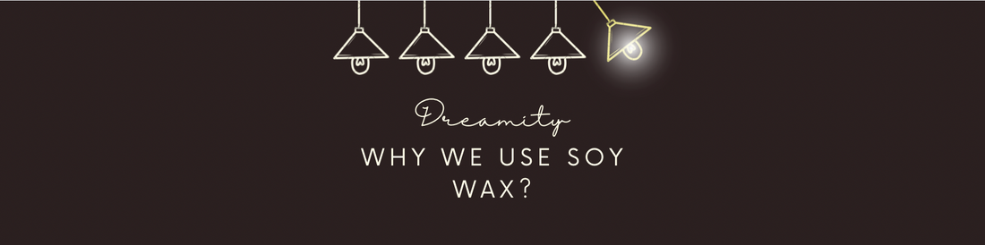 Why we use Soy Wax?
