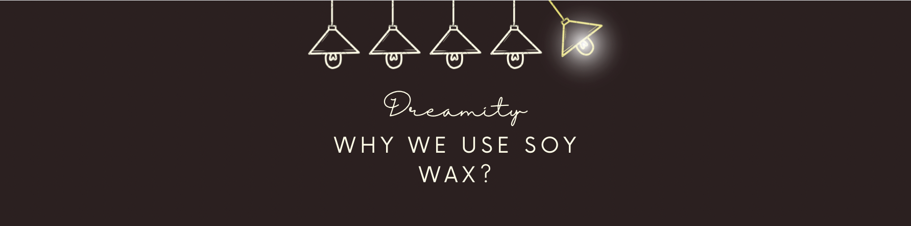 Why we use Soy Wax?